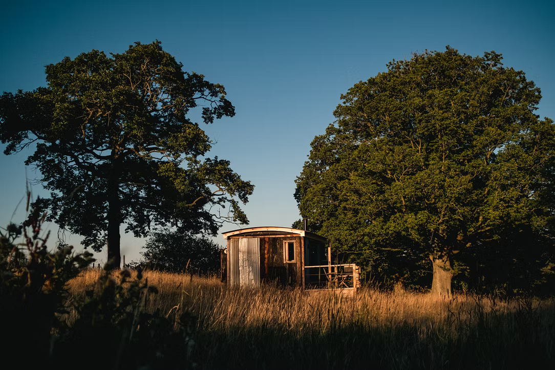 Darg Wood Shepherd's Hut
